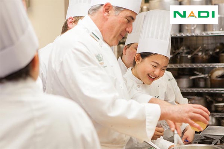Nhiệm vụ của Junior Chef sẽ bao gồm những việc quản lý, phụ trách quy trình đưa ra các món ăn đảm bảo yêu cầu. 