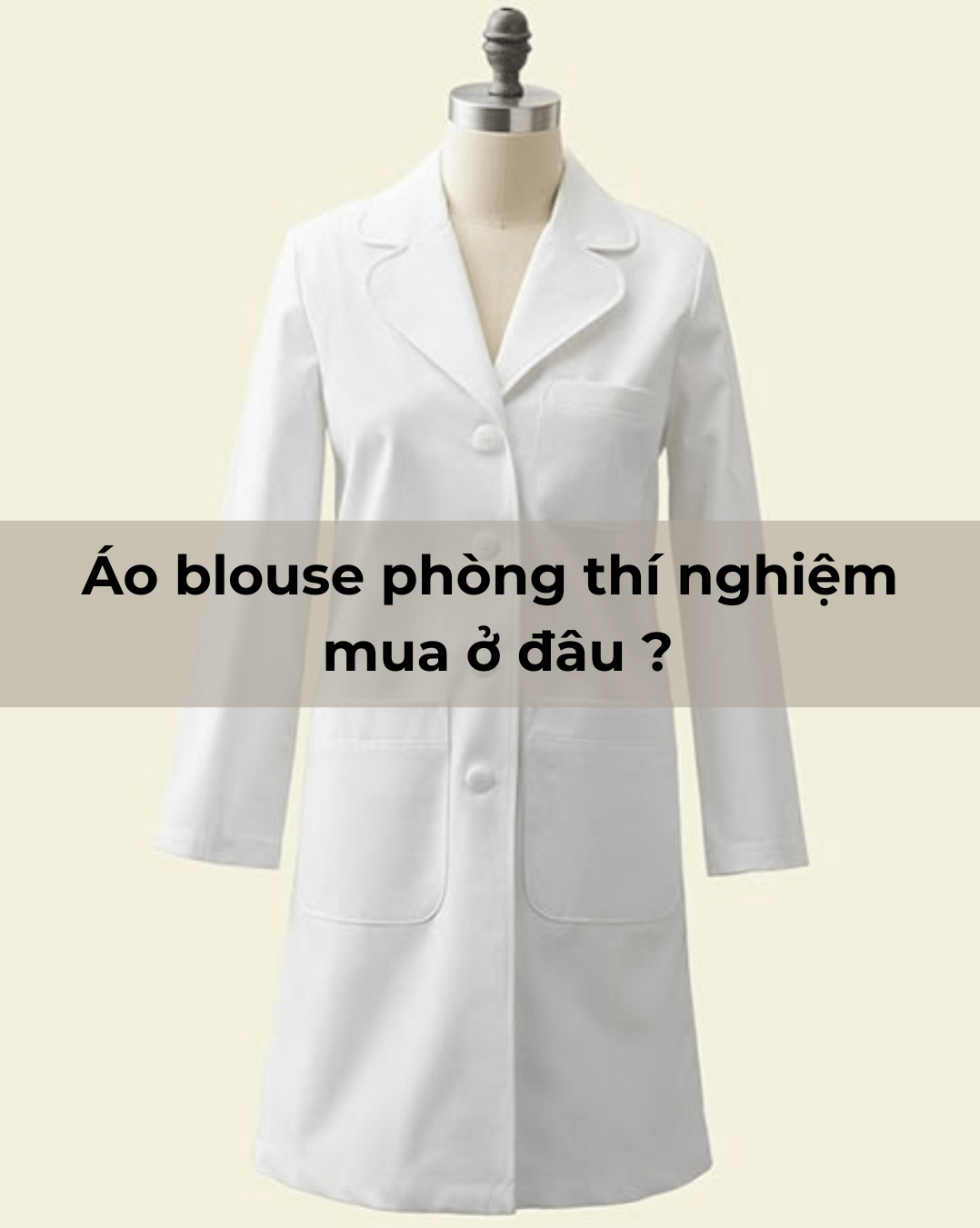 mua áo blu trắng ở đâu